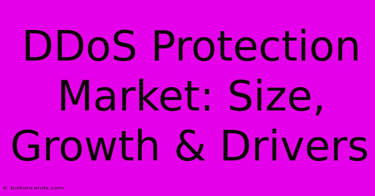 DDoS Protection Market: Size, Growth & Drivers 