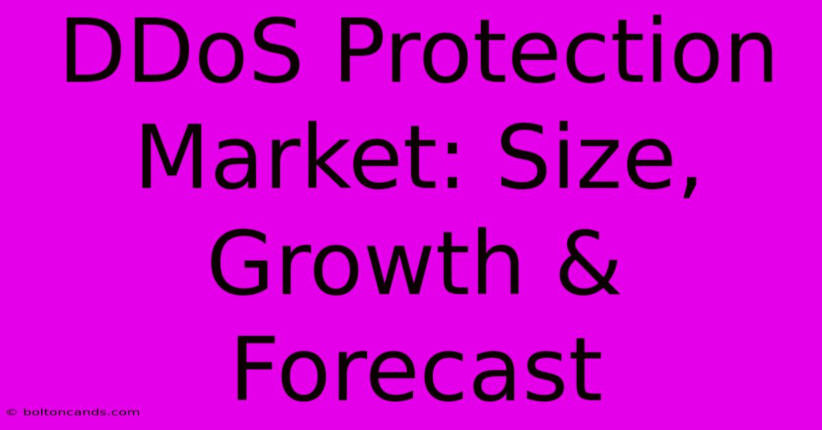 DDoS Protection Market: Size, Growth & Forecast