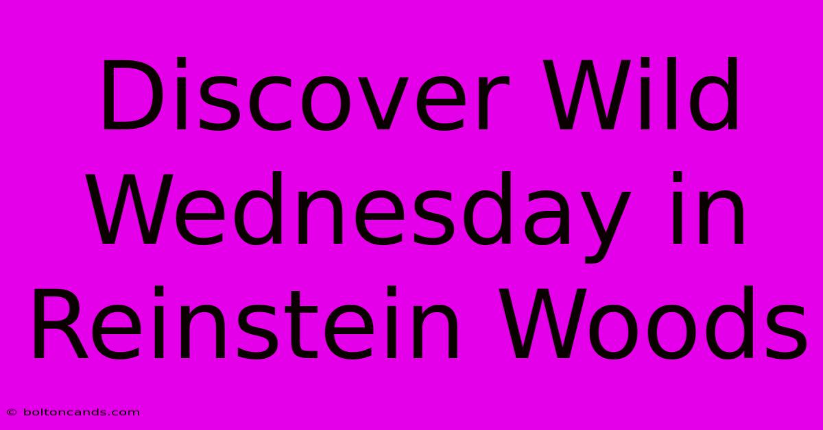 Discover Wild Wednesday In Reinstein Woods