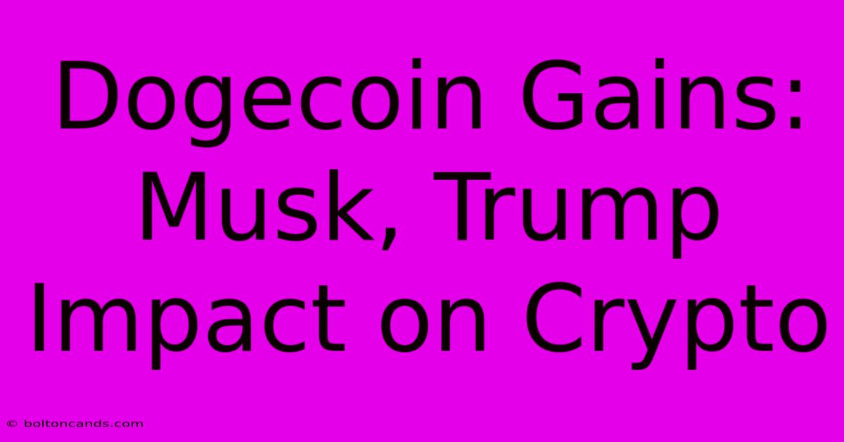 Dogecoin Gains: Musk, Trump Impact On Crypto 