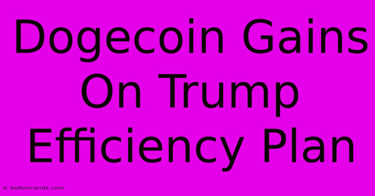 Dogecoin Gains On Trump Efficiency Plan 