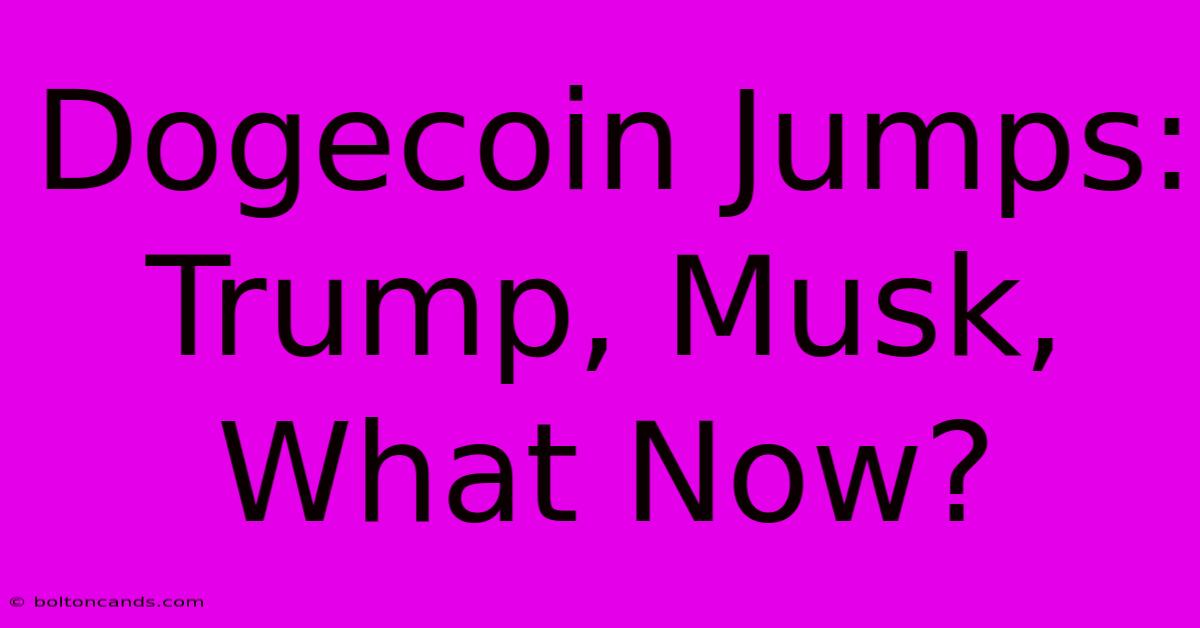 Dogecoin Jumps: Trump, Musk, What Now?