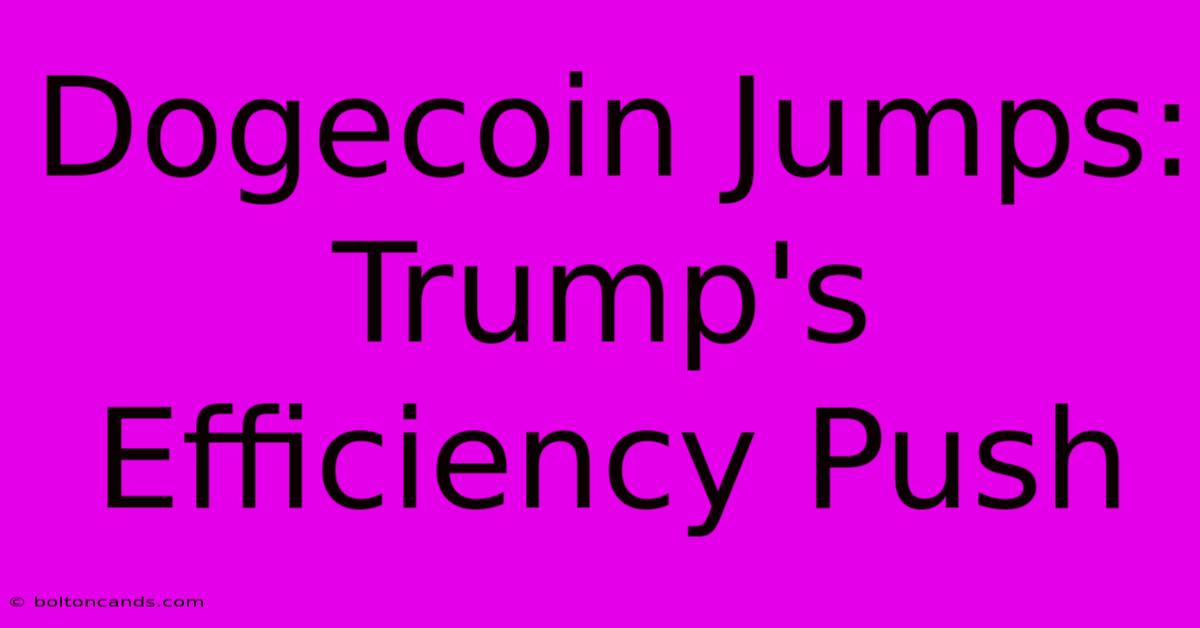 Dogecoin Jumps: Trump's Efficiency Push