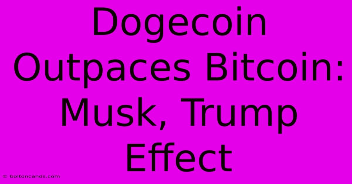 Dogecoin Outpaces Bitcoin: Musk, Trump Effect