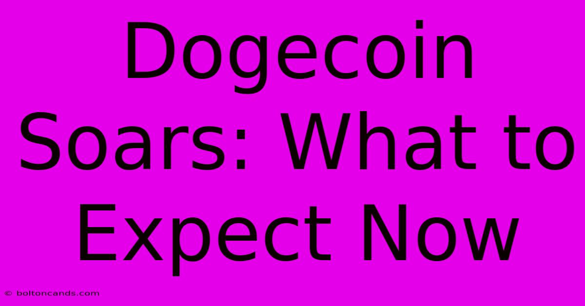 Dogecoin Soars: What To Expect Now