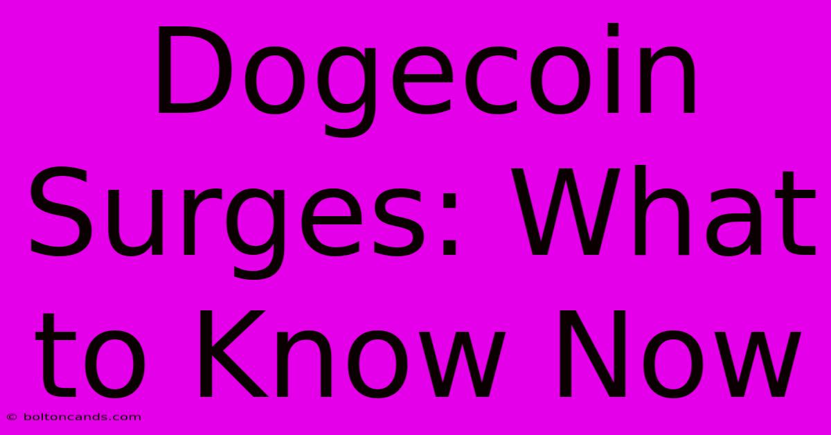 Dogecoin Surges: What To Know Now