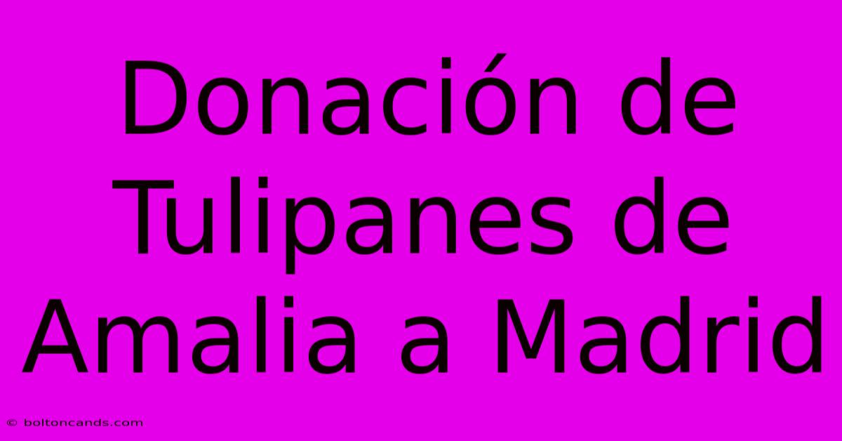 Donación De Tulipanes De Amalia A Madrid