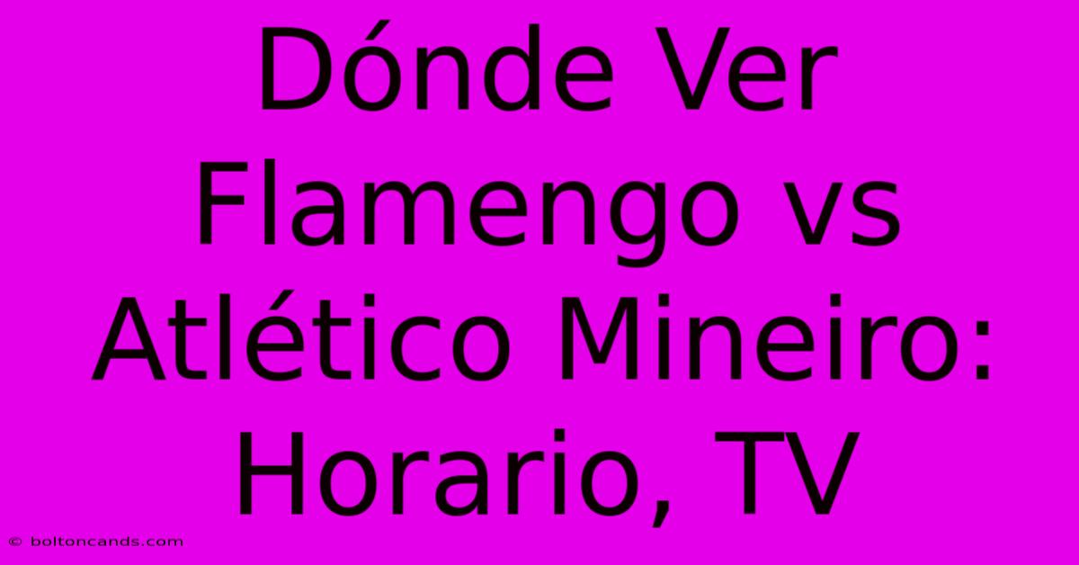 Dónde Ver Flamengo Vs Atlético Mineiro: Horario, TV