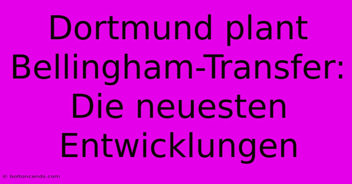 Dortmund Plant Bellingham-Transfer: Die Neuesten Entwicklungen