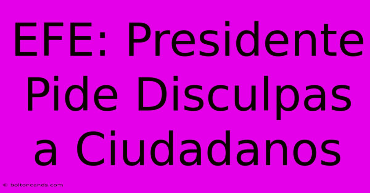 EFE: Presidente Pide Disculpas A Ciudadanos