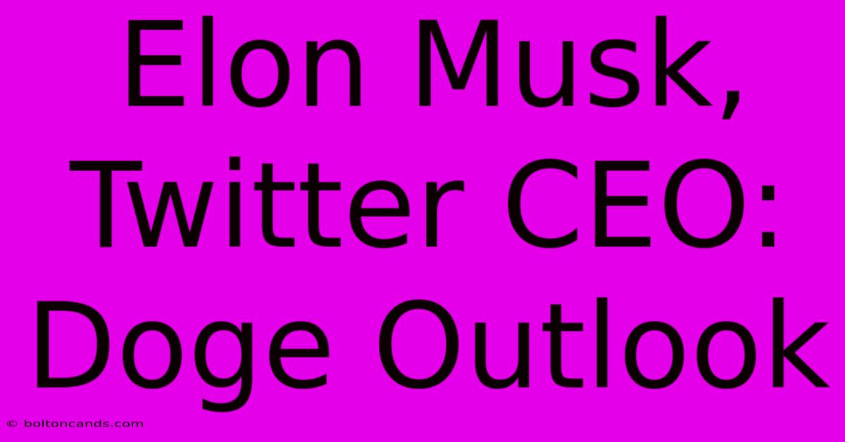 Elon Musk, Twitter CEO: Doge Outlook