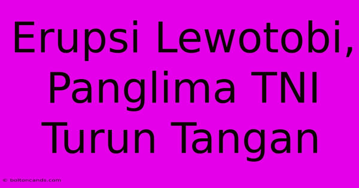 Erupsi Lewotobi, Panglima TNI Turun Tangan 