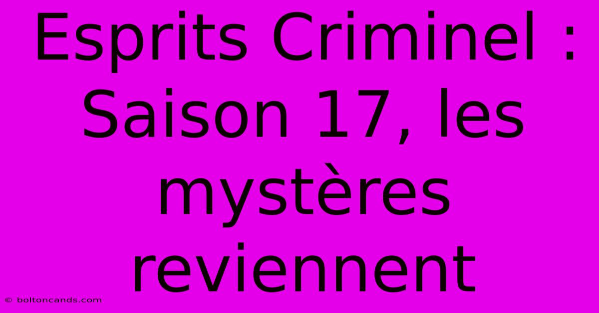 Esprits Criminel : Saison 17, Les Mystères Reviennent