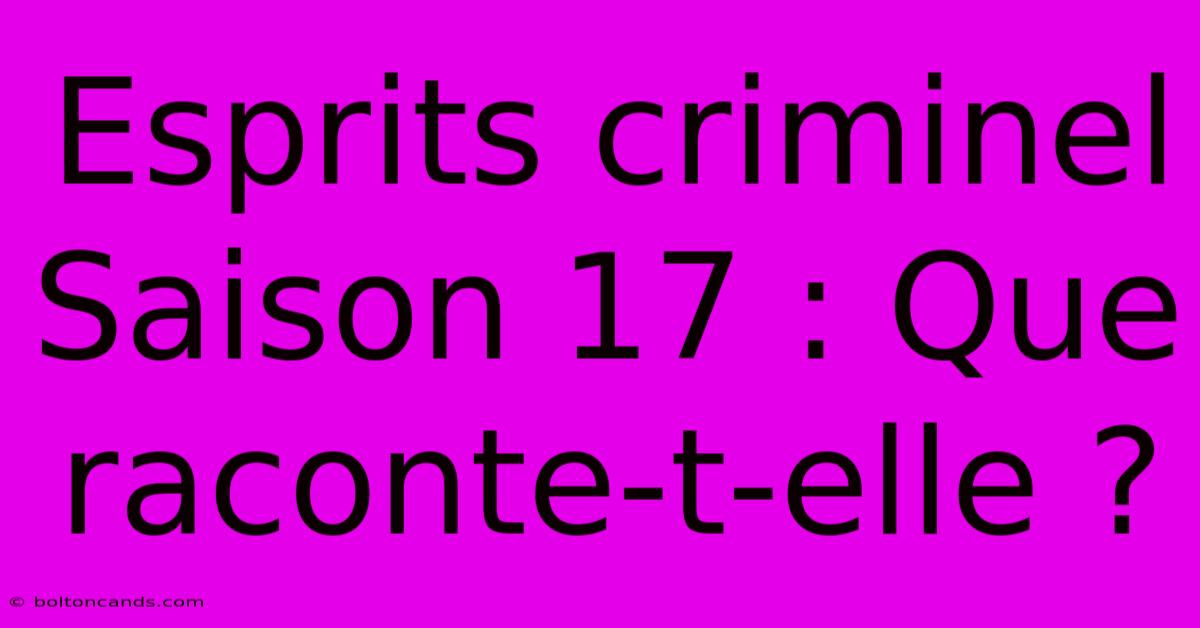 Esprits Criminel Saison 17 : Que Raconte-t-elle ?