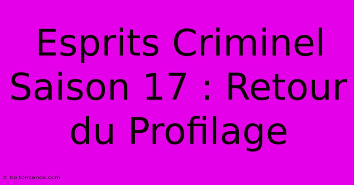 Esprits Criminel Saison 17 : Retour Du Profilage