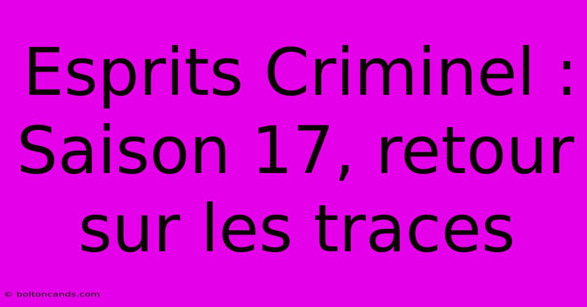 Esprits Criminel : Saison 17, Retour Sur Les Traces 