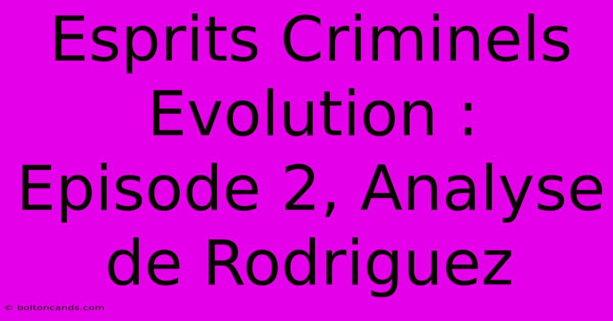 Esprits Criminels Evolution : Episode 2, Analyse De Rodriguez