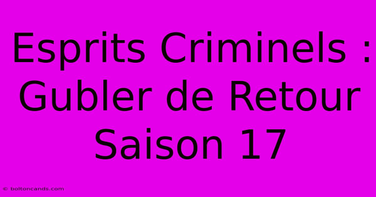 Esprits Criminels : Gubler De Retour Saison 17