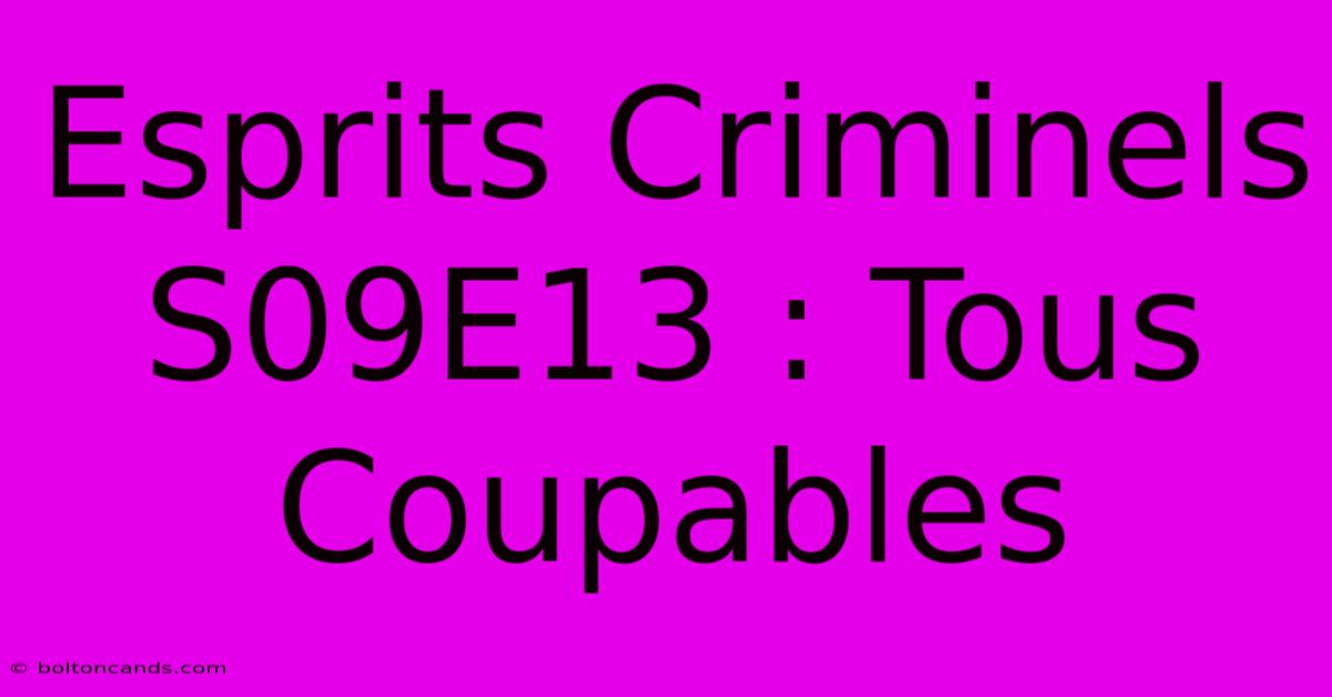 Esprits Criminels S09E13 : Tous Coupables