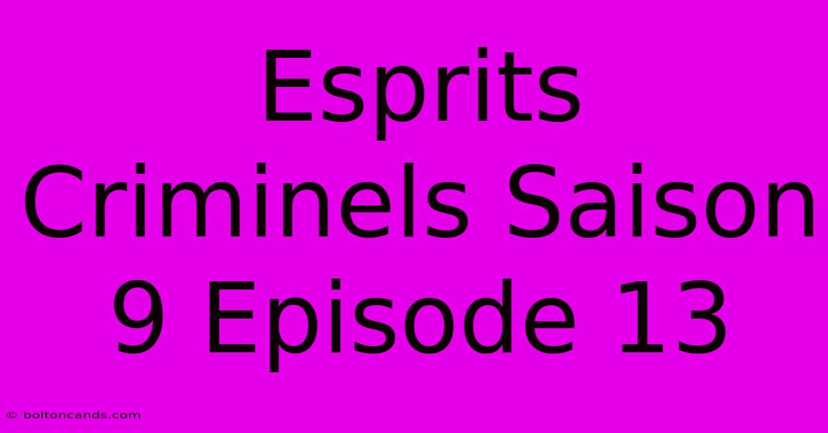 Esprits Criminels Saison 9 Episode 13