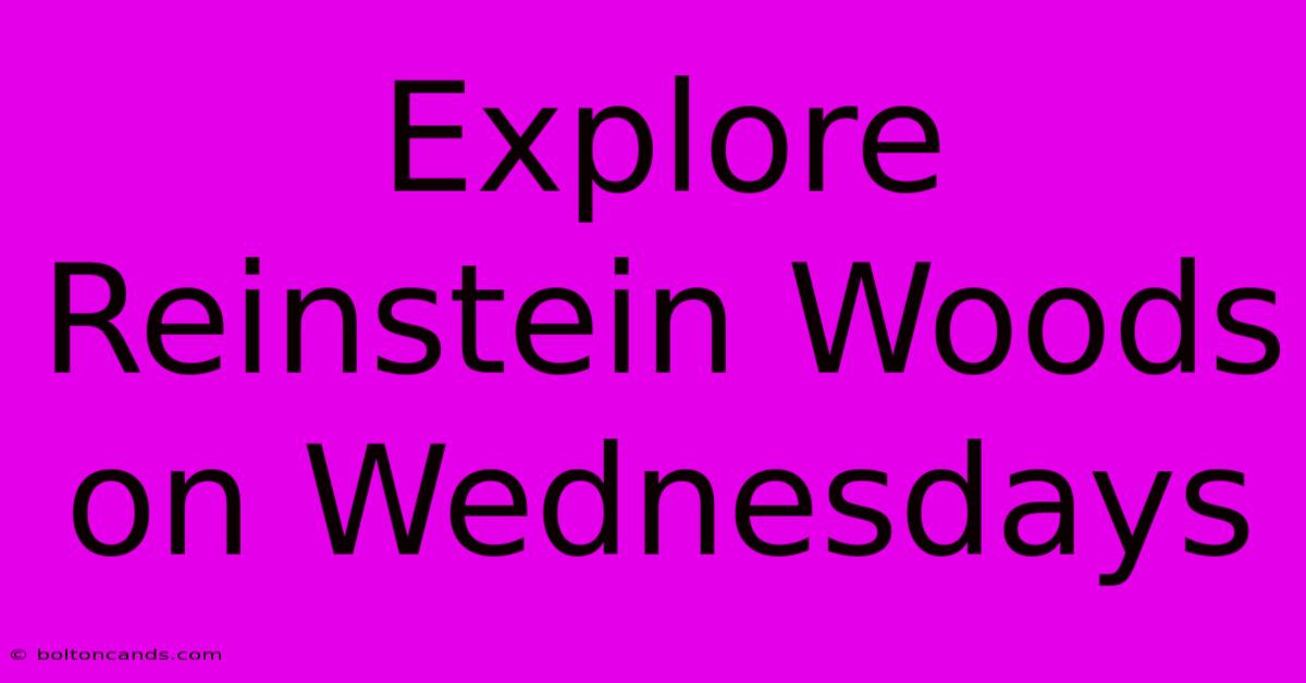 Explore Reinstein Woods On Wednesdays