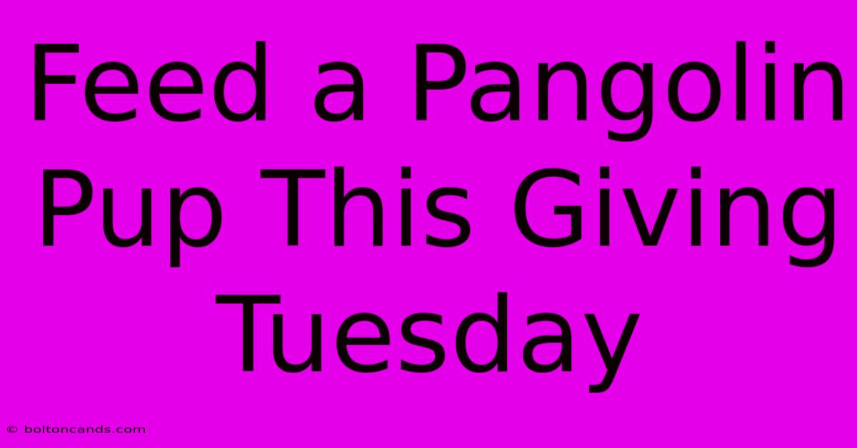 Feed A Pangolin Pup This Giving Tuesday