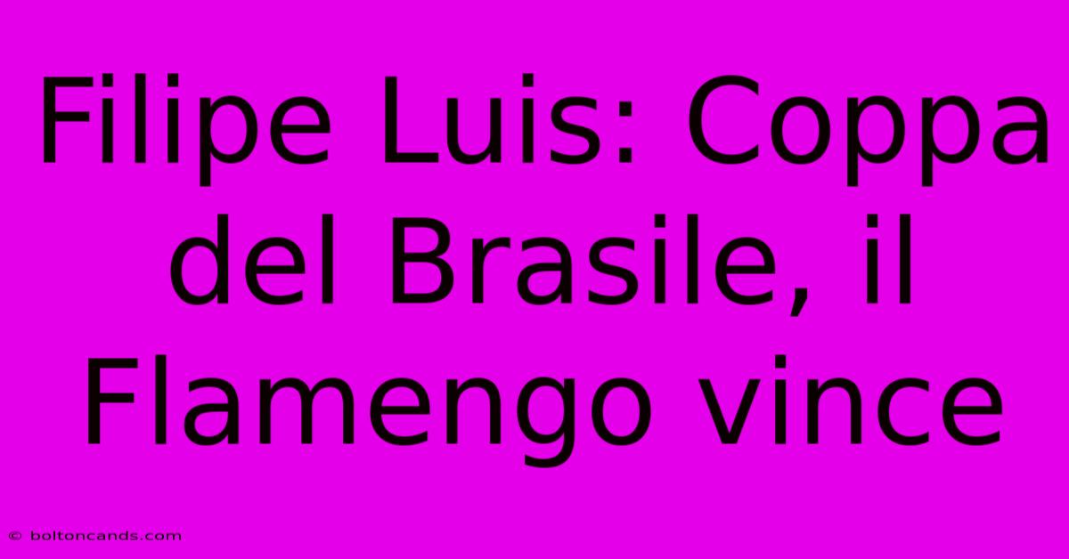 Filipe Luis: Coppa Del Brasile, Il Flamengo Vince 