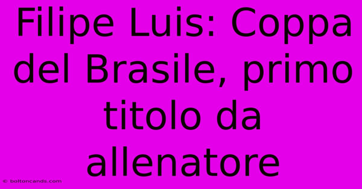 Filipe Luis: Coppa Del Brasile, Primo Titolo Da Allenatore