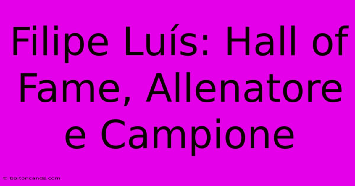 Filipe Luís: Hall Of Fame, Allenatore E Campione