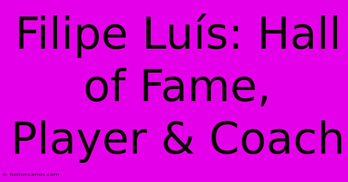 Filipe Luís: Hall Of Fame, Player & Coach