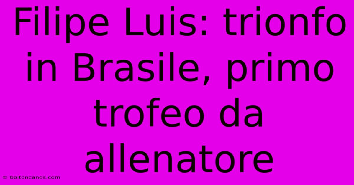 Filipe Luis: Trionfo In Brasile, Primo Trofeo Da Allenatore