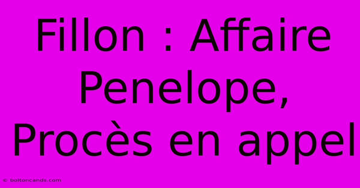 Fillon : Affaire Penelope, Procès En Appel