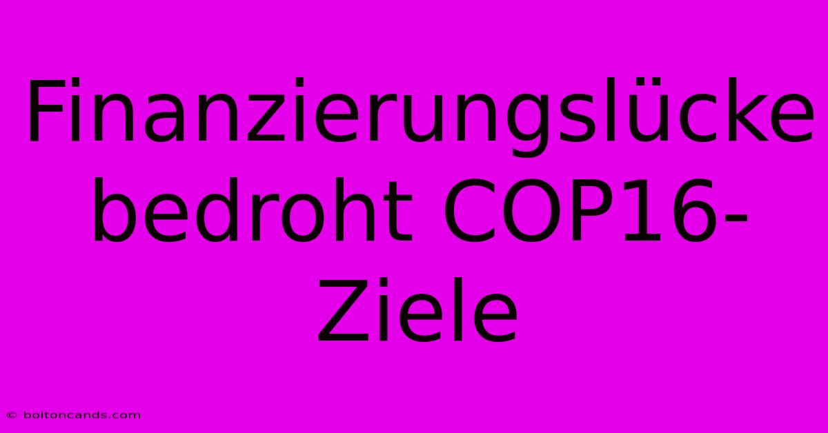 Finanzierungslücke Bedroht COP16-Ziele