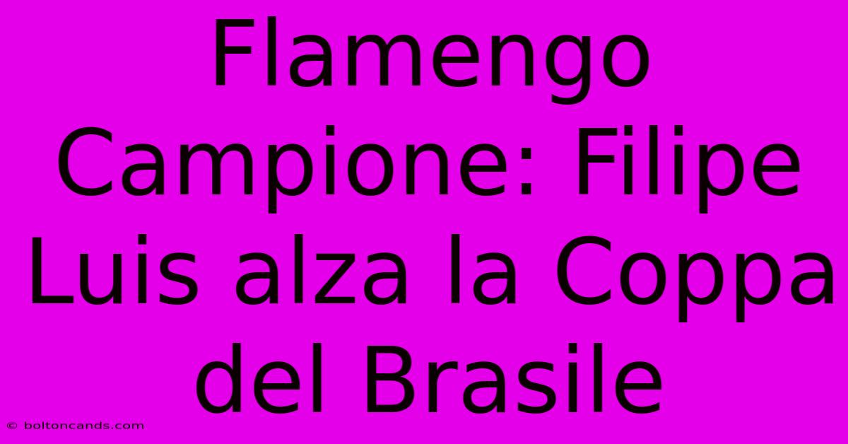 Flamengo Campione: Filipe Luis Alza La Coppa Del Brasile