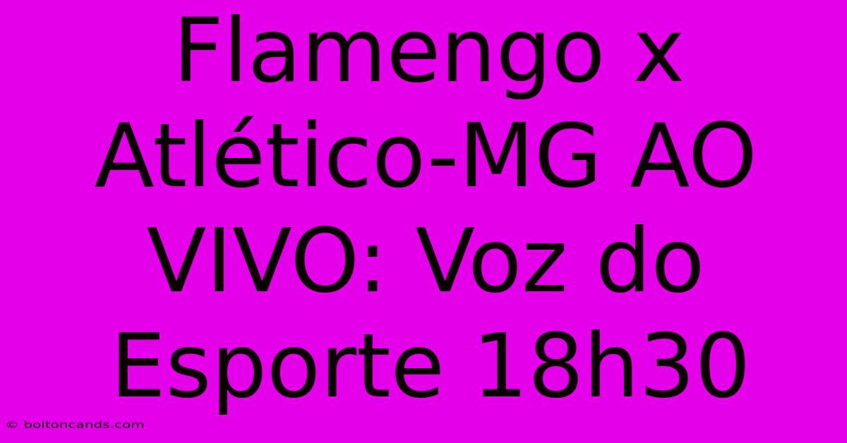 Flamengo X Atlético-MG AO VIVO: Voz Do Esporte 18h30