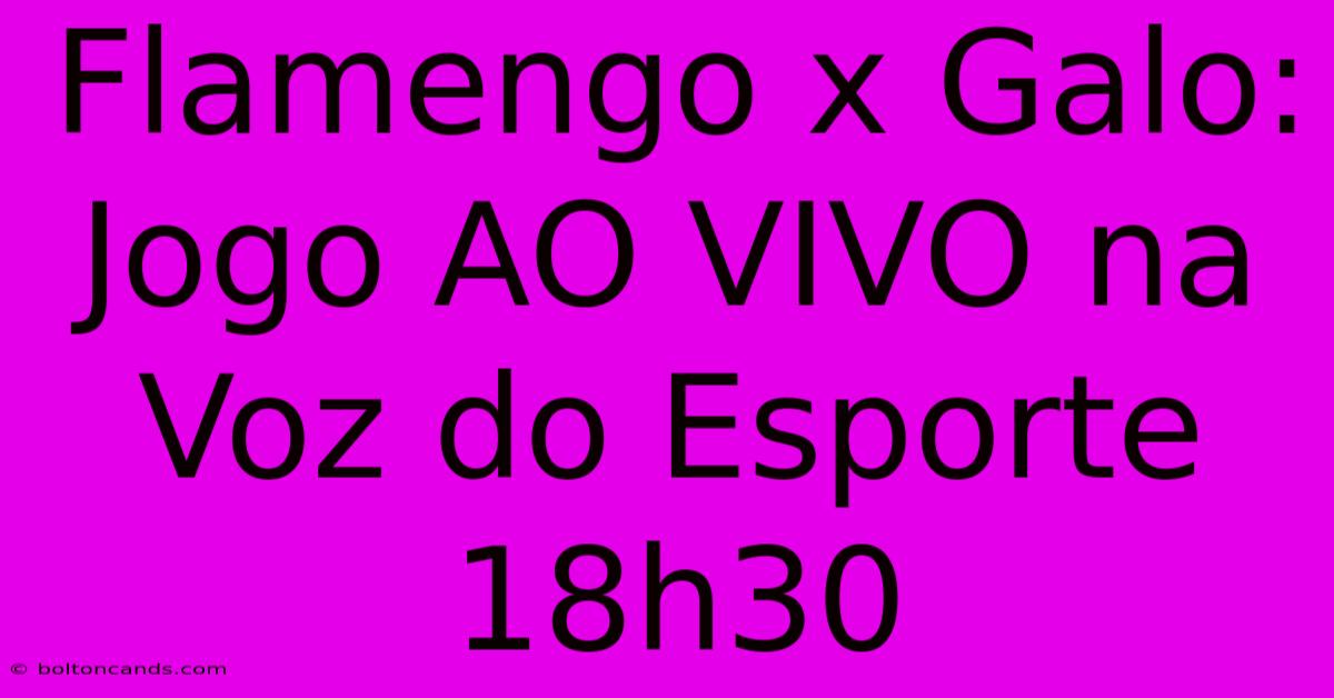 Flamengo X Galo: Jogo AO VIVO Na Voz Do Esporte 18h30