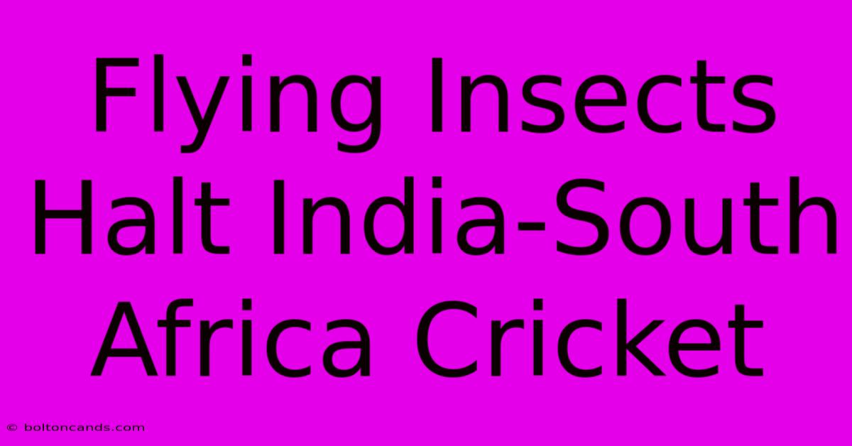 Flying Insects Halt India-South Africa Cricket