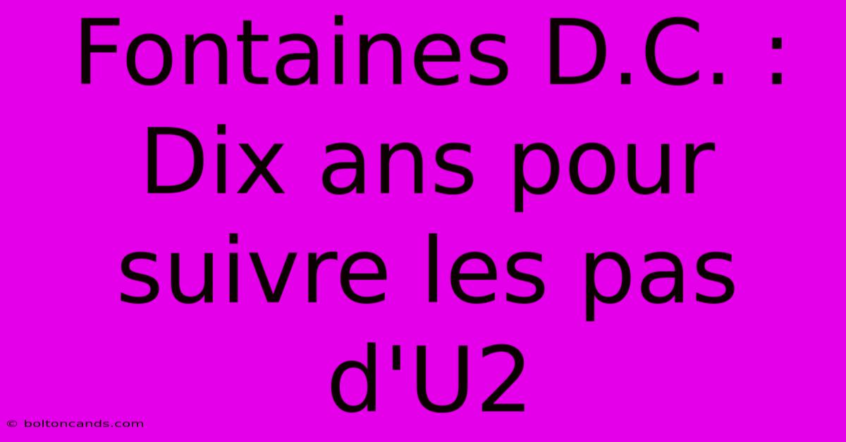 Fontaines D.C. : Dix Ans Pour Suivre Les Pas D'U2