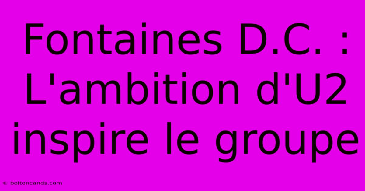 Fontaines D.C. : L'ambition D'U2 Inspire Le Groupe