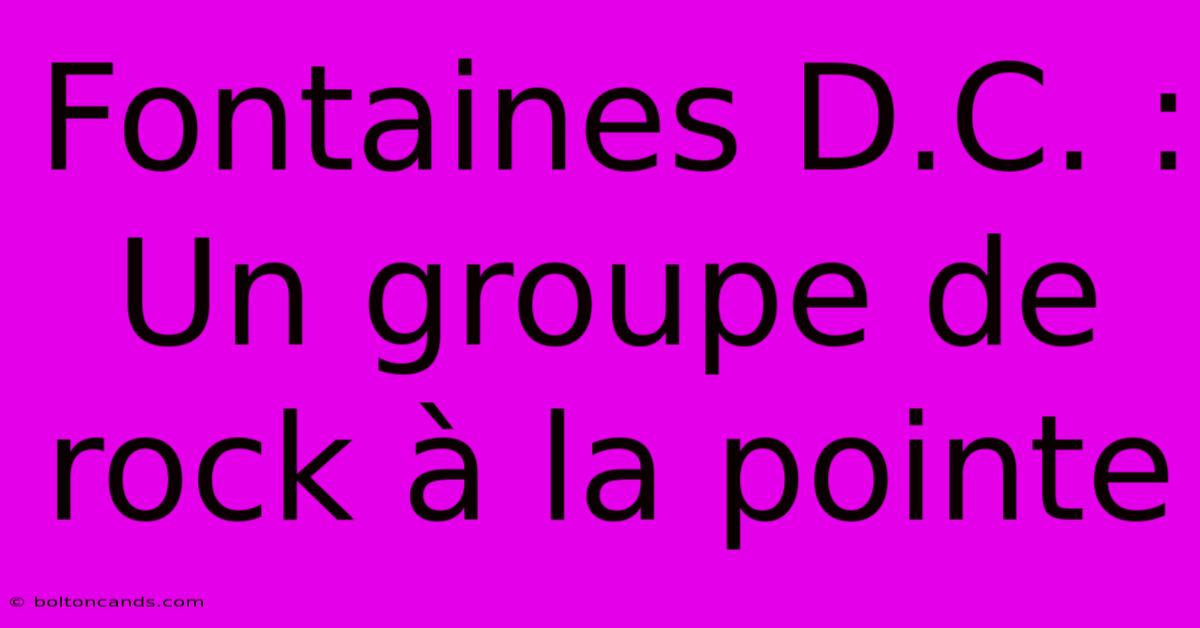 Fontaines D.C. : Un Groupe De Rock À La Pointe