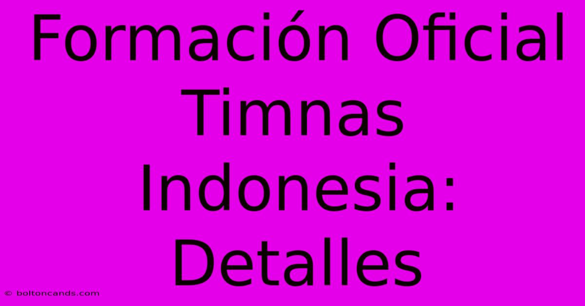 Formación Oficial Timnas Indonesia: Detalles