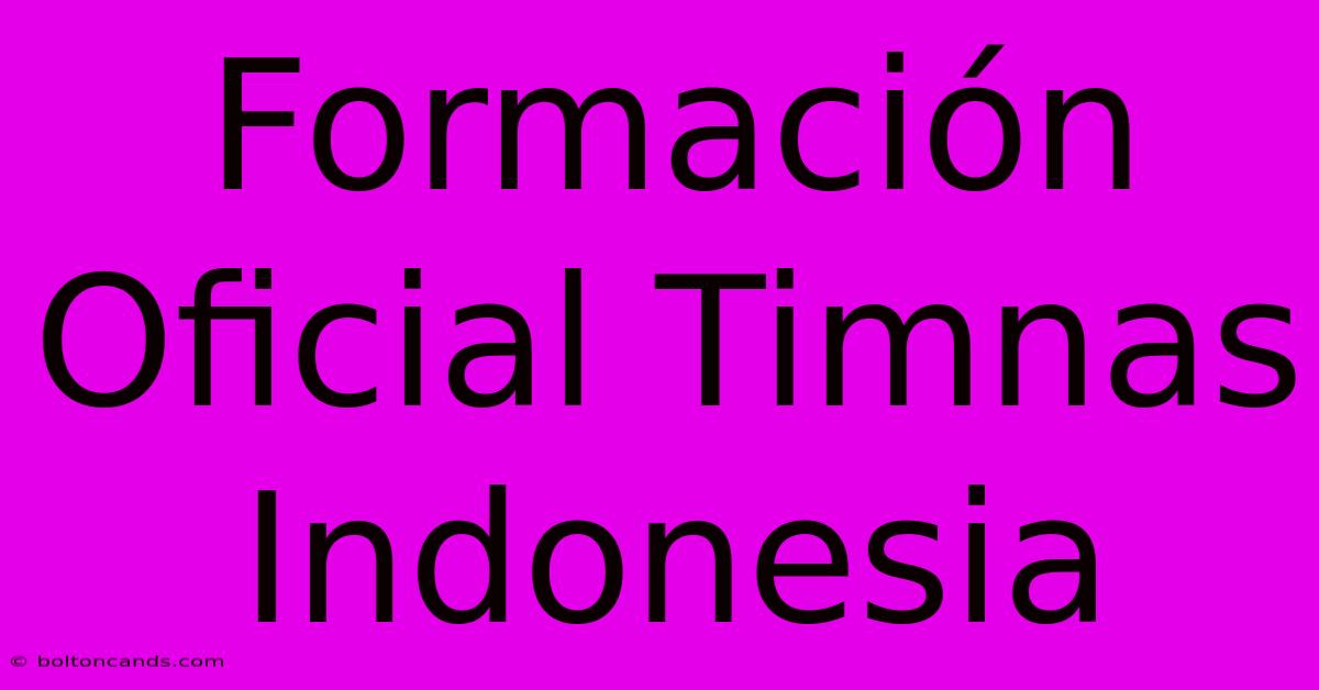 Formación Oficial Timnas Indonesia