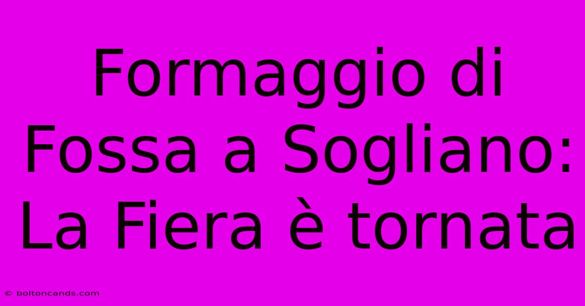 Formaggio Di Fossa A Sogliano: La Fiera È Tornata