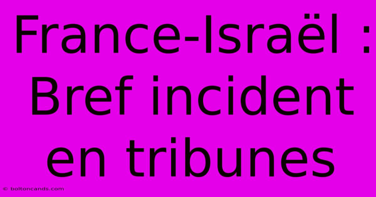 France-Israël : Bref Incident En Tribunes