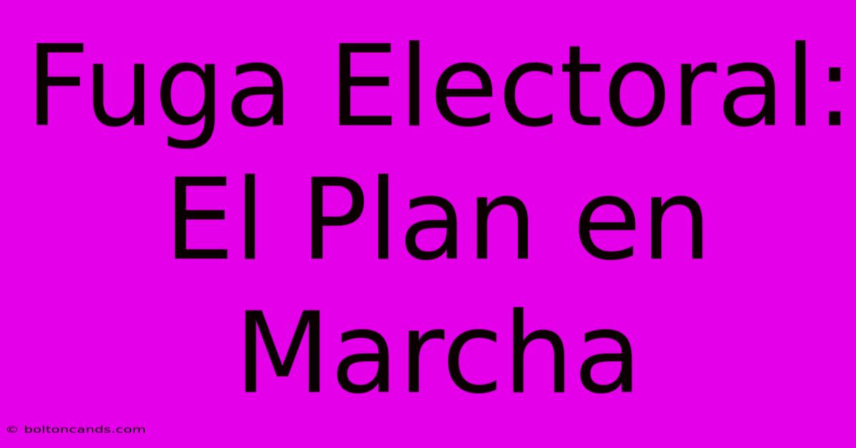 Fuga Electoral: El Plan En Marcha