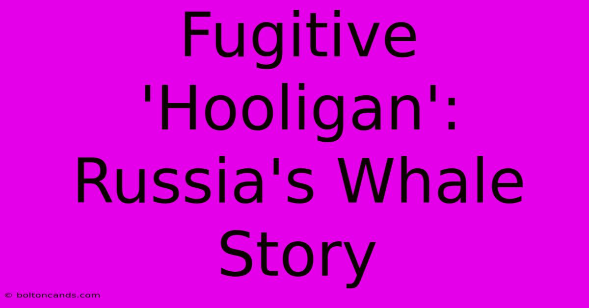 Fugitive 'Hooligan': Russia's Whale Story  