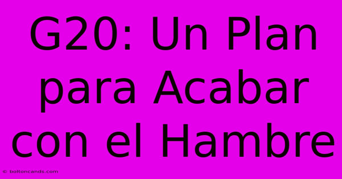 G20: Un Plan Para Acabar Con El Hambre