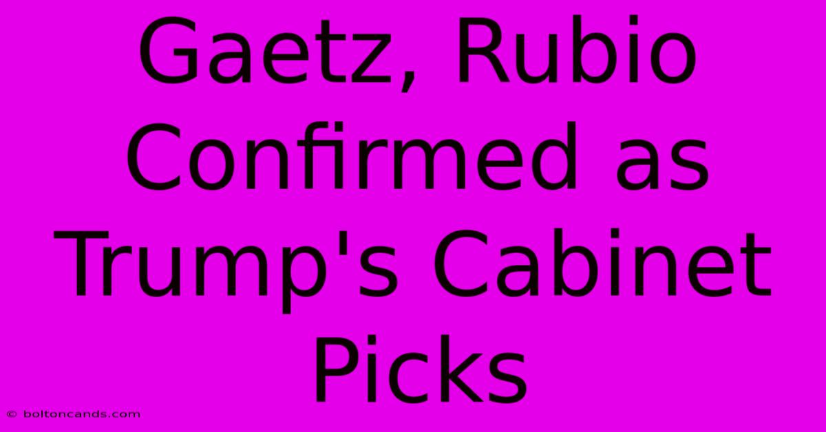 Gaetz, Rubio Confirmed As Trump's Cabinet Picks 