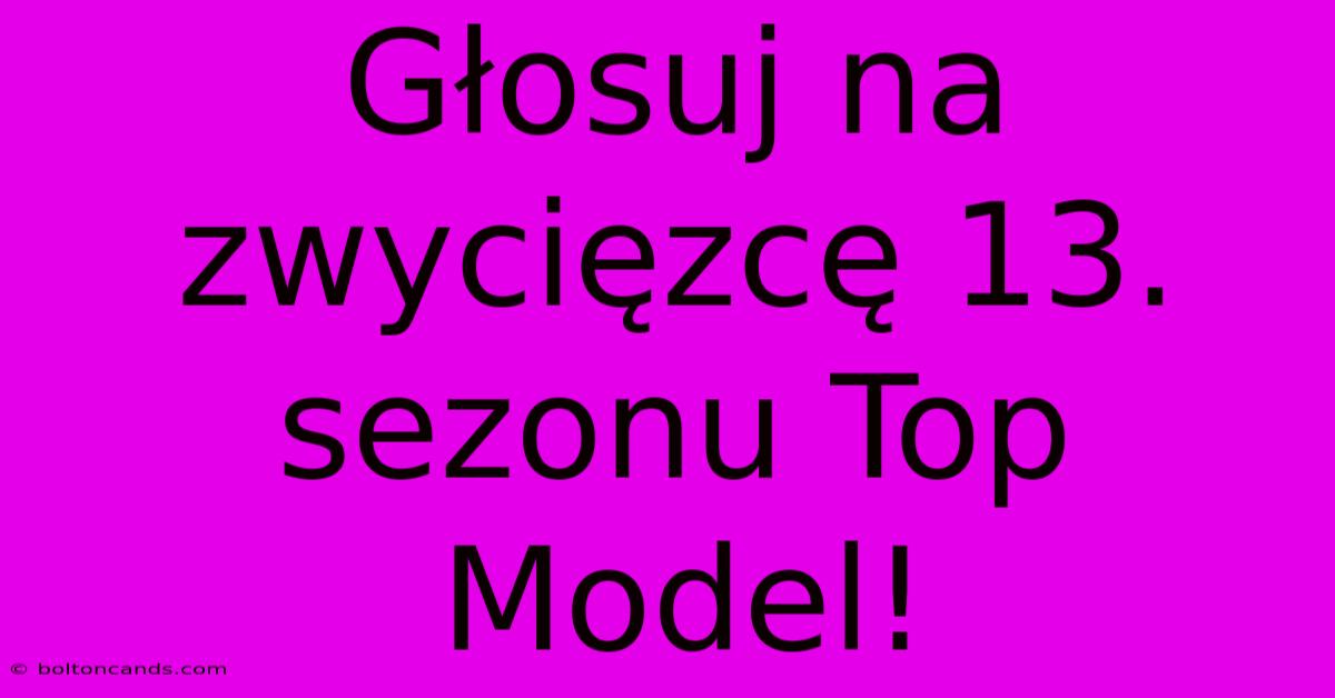 Głosuj Na Zwycięzcę 13. Sezonu Top Model!