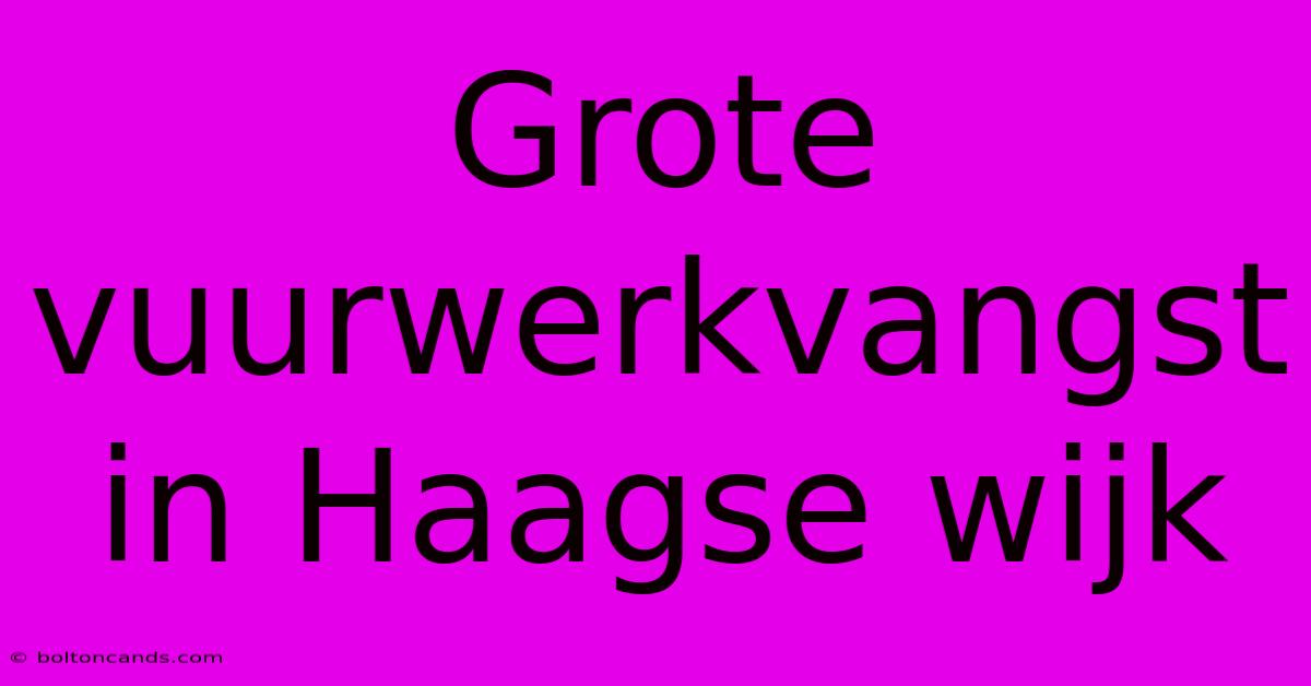 Grote Vuurwerkvangst In Haagse Wijk